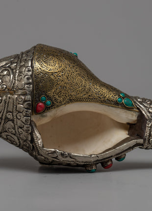 Conch Shell Horn | Traditional Tibetan Buddhist Sound Instrument