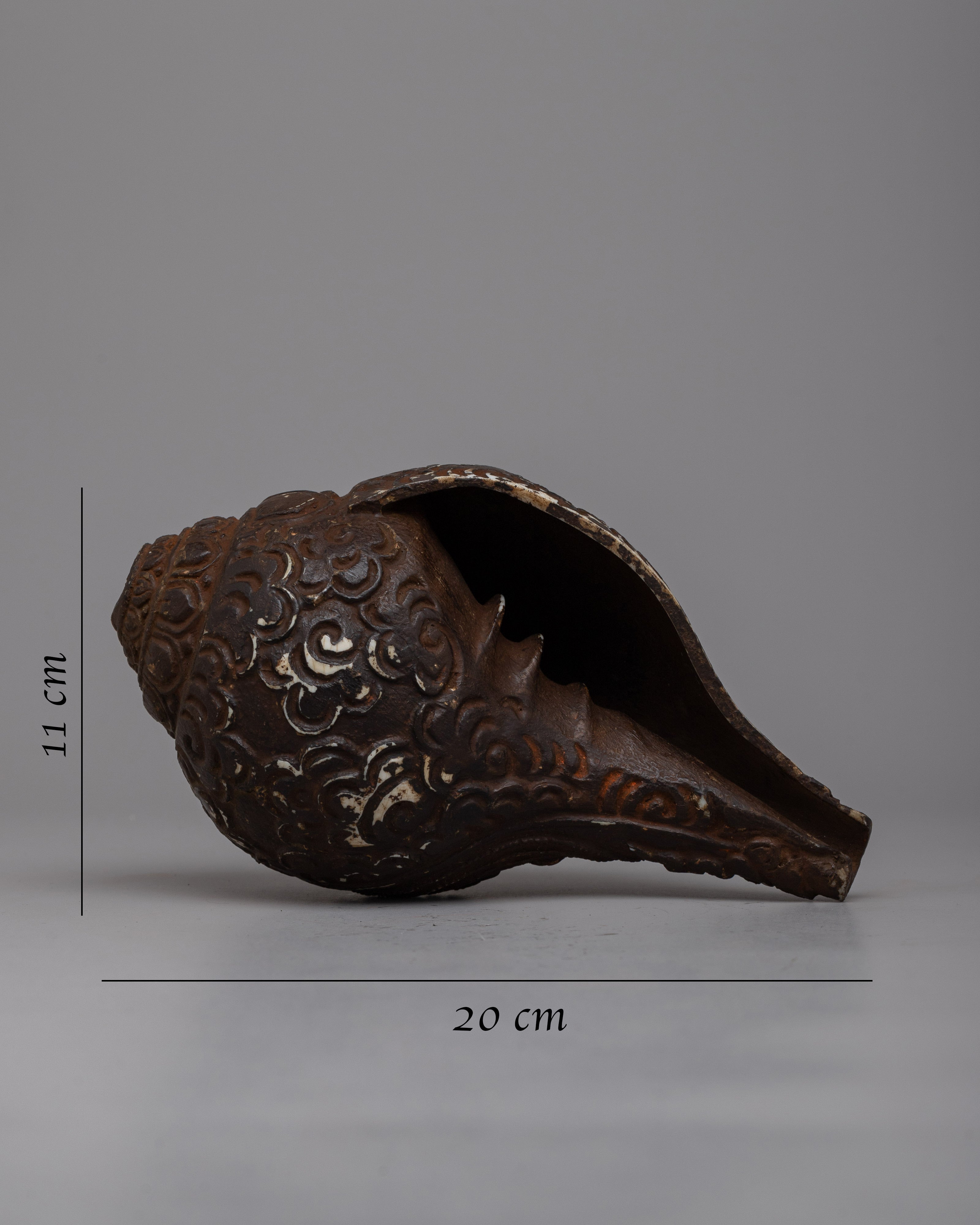 Conch Shell Sankha | Elevate Your Meditation Practice