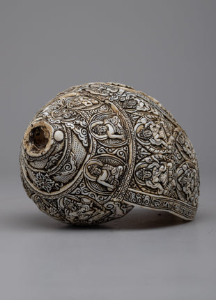 Deities Carved Buddhist Sankha | Unveiling Spiritual Mastery of Artistry