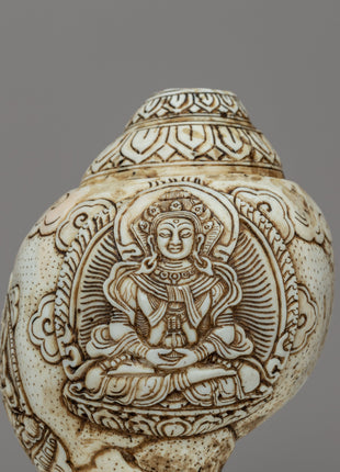 White Tara Sankha | Sacred Conch of Compassion & Healing
