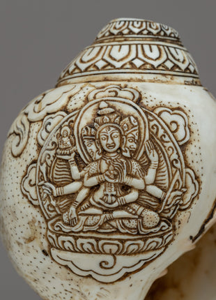 White Tara Sankha | Sacred Conch of Compassion & Healing