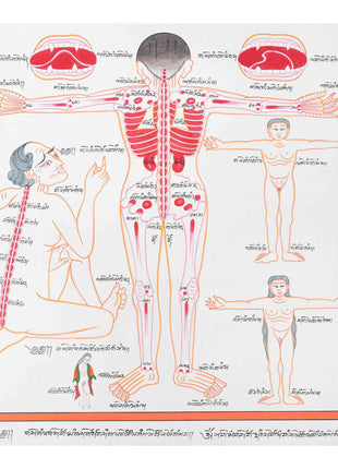 Backside of a Human Body | Himalayan Ancient Medical Technique