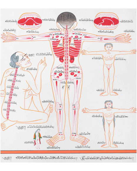 Backside of a Human Body | Himalayan Ancient Medical Technique