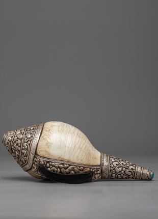 Concha Shell