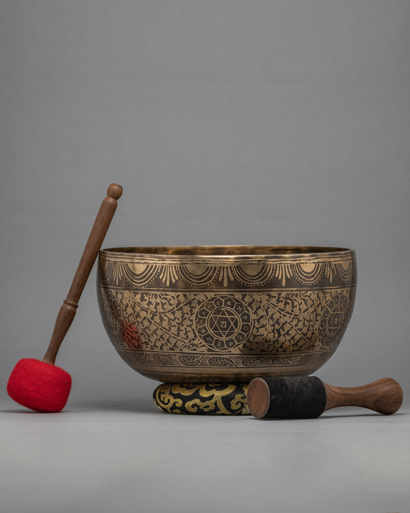 Deep Singing Bowl | Mantra Crafted Bowl | Sound Therapy