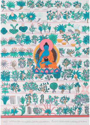 Tibetan Medicinal Herbs and Plants Thangka | Medicinal Painting