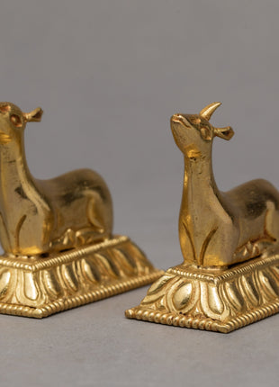 Dharma Chakra And Two Deer | Dharma Wheel