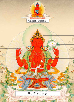 Red Chenrezig With Amitabha Buddha, Gyalwa Gyasto Thangka Print