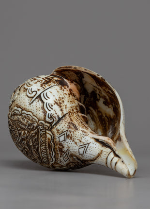 Green Tara Cronch Shell | Amplify Your Spiritual Connection