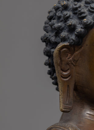 Indoor Shakyamuni Buddha | Garden decorative Statue | Buddhist home Altar | Spritual Gifts