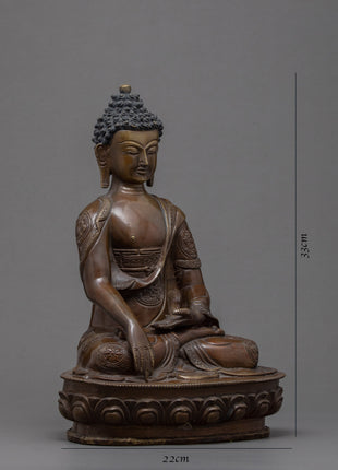Indoor Shakyamuni Buddha | Garden decorative Statue | Buddhist home Altar | Spritual Gifts