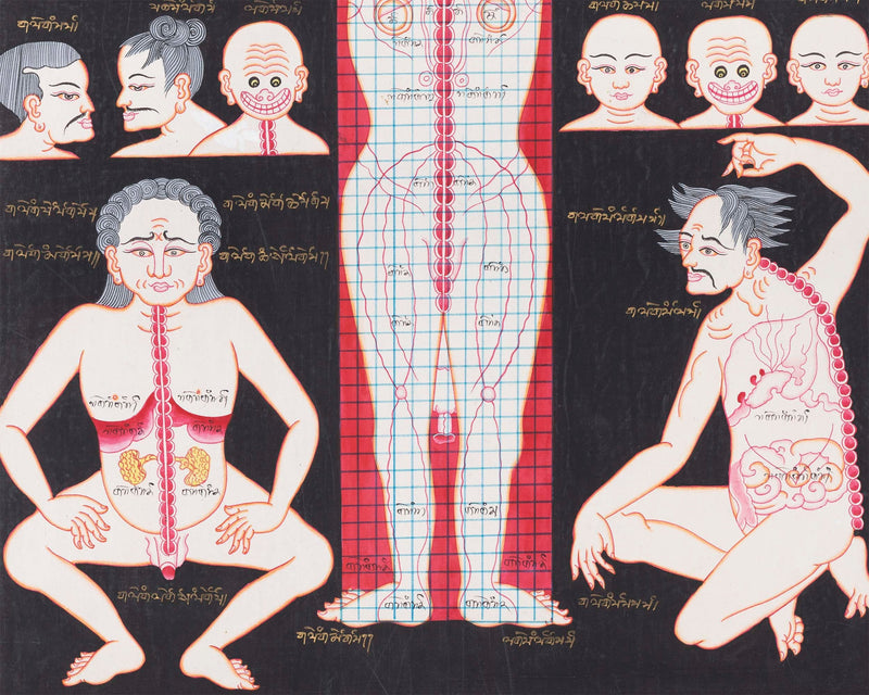 Cranial Physiognomy | Tibetan Thangka Depicting the Circulation of Blood