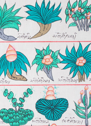 Tibetan Medicinal Herbs and Plants Thangka | Medicinal Painting