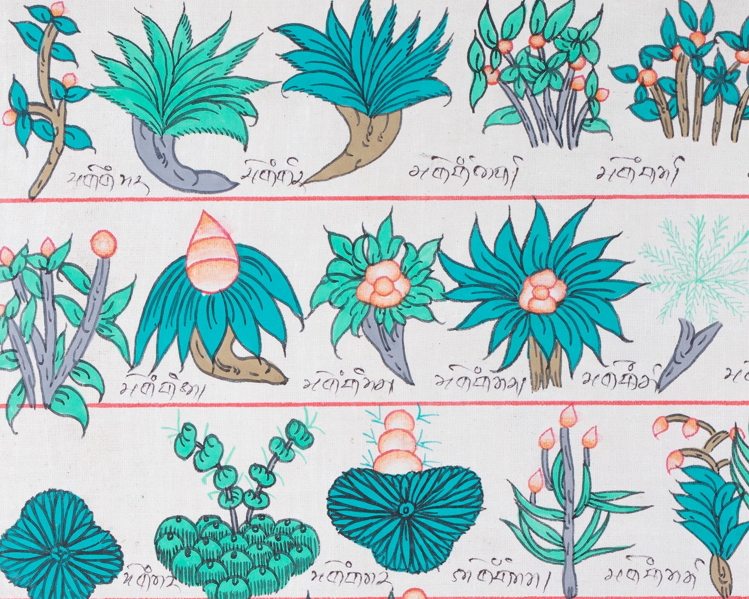 Tibetan Medicinal Herbs and Plants Thangka | Medicinal Painting
