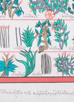 Tibetan Medicinal Herbs and Plants Thangka | Medicinal Painting