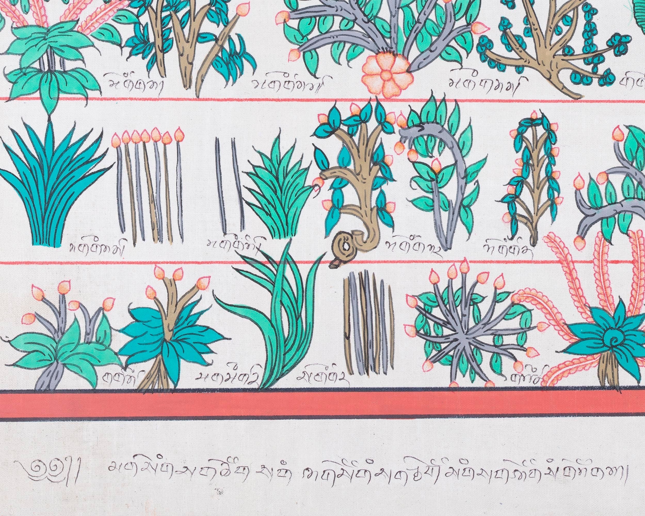 Tibetan Medicinal Herbs and Plants Thangka | Medicinal Painting