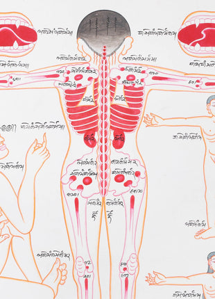 Backside of a Human Body | Himalayan Ancient Medical Technique