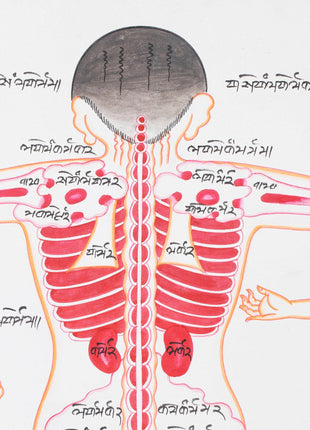 Backside of a Human Body | Himalayan Ancient Medical Technique