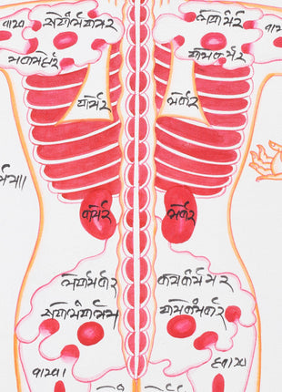 Backside of a Human Body | Himalayan Ancient Medical Technique