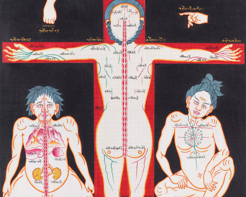 Ancient Depiction of Physical Form Used in Tibet | Three anatomical figures