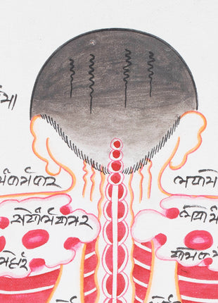 Backside of a Human Body | Himalayan Ancient Medical Technique
