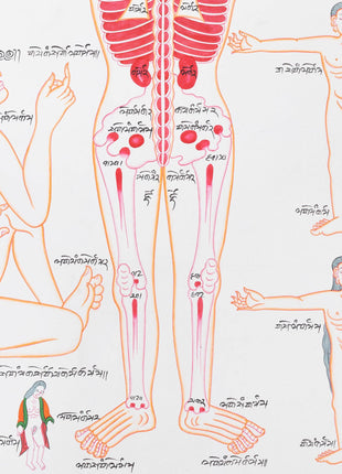 Backside of a Human Body | Himalayan Ancient Medical Technique