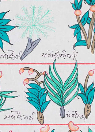 Tibetan Medicinal Herbs and Plants Thangka | Medicinal Painting