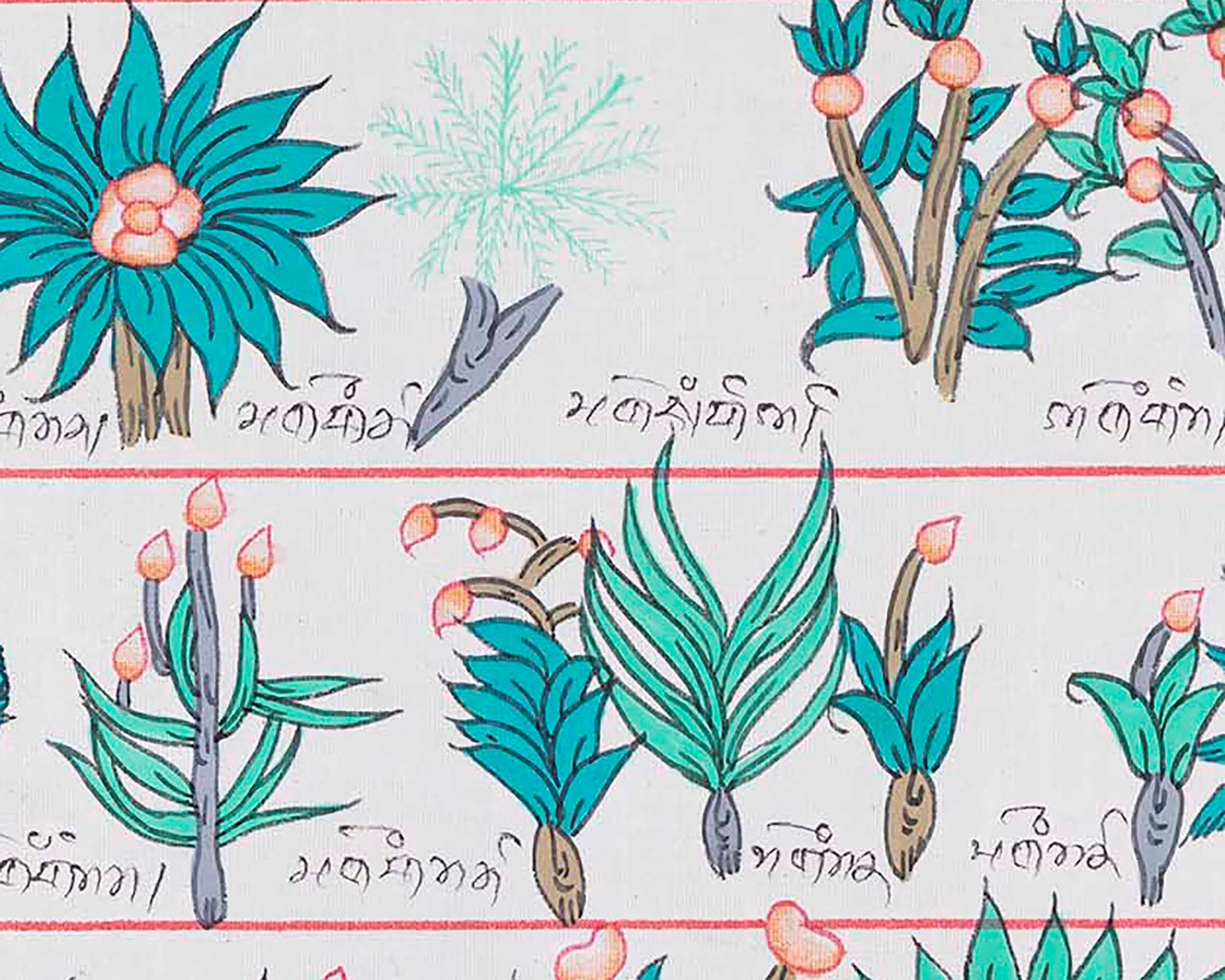 Tibetan Medicinal Herbs and Plants Thangka | Medicinal Painting