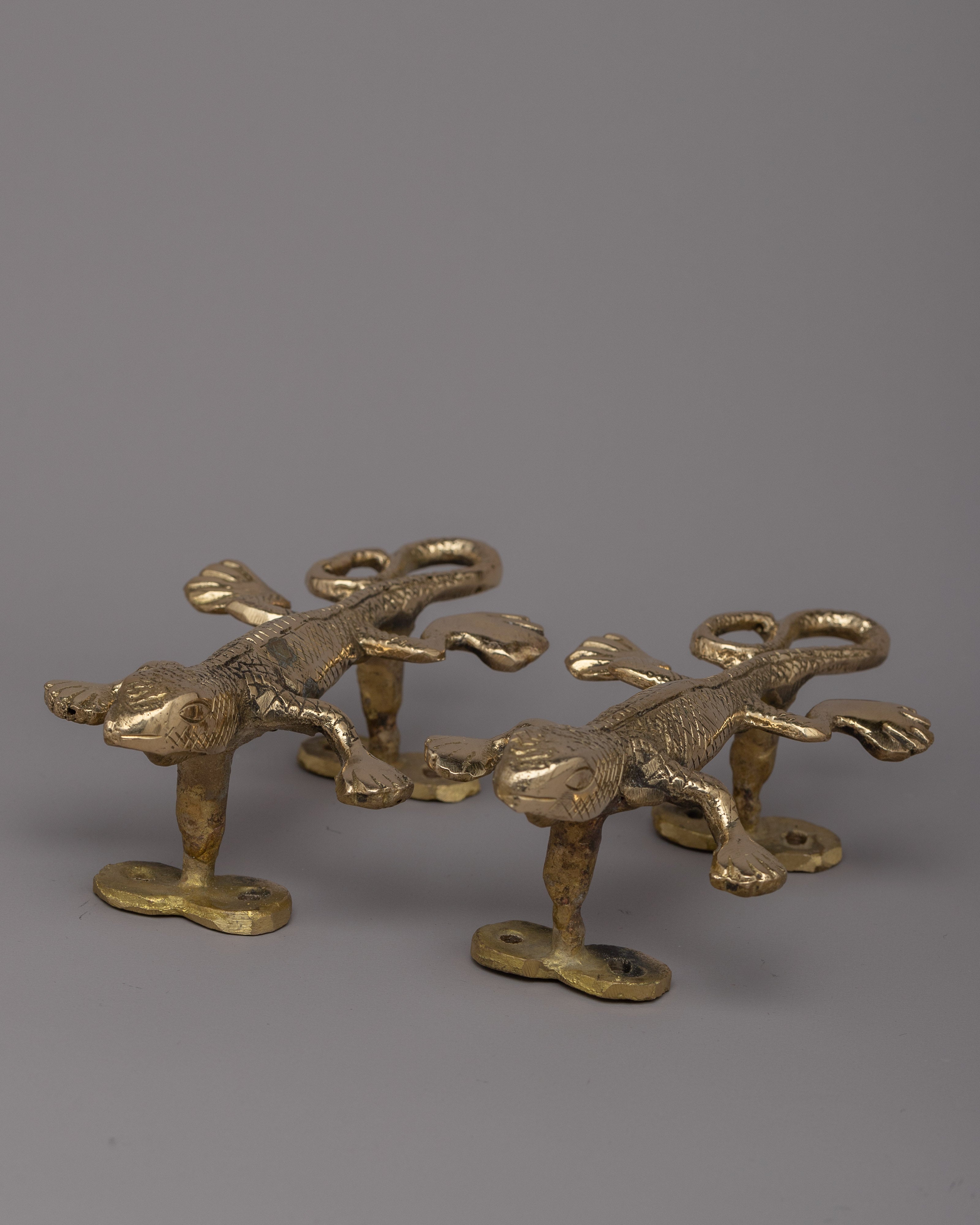 Lizard Door Handle Set for a Unique and Inspiring Home Entrance